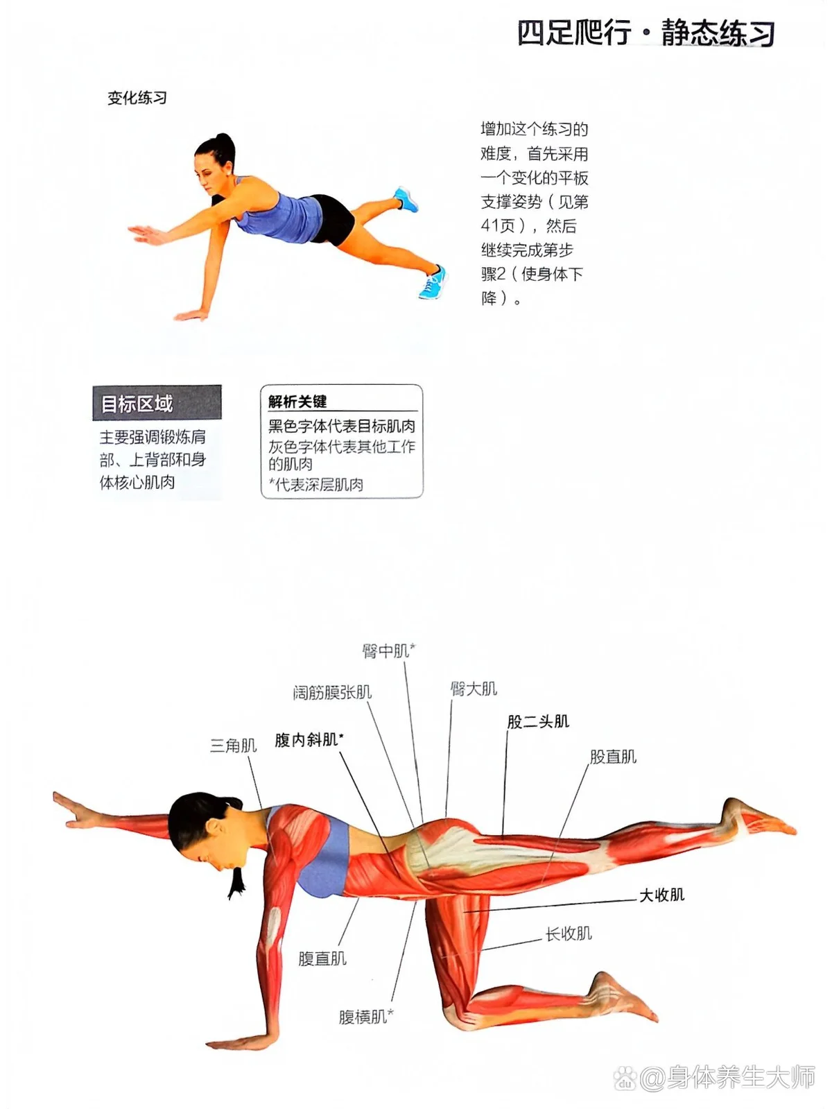 篮球训练计划图片高清_2
